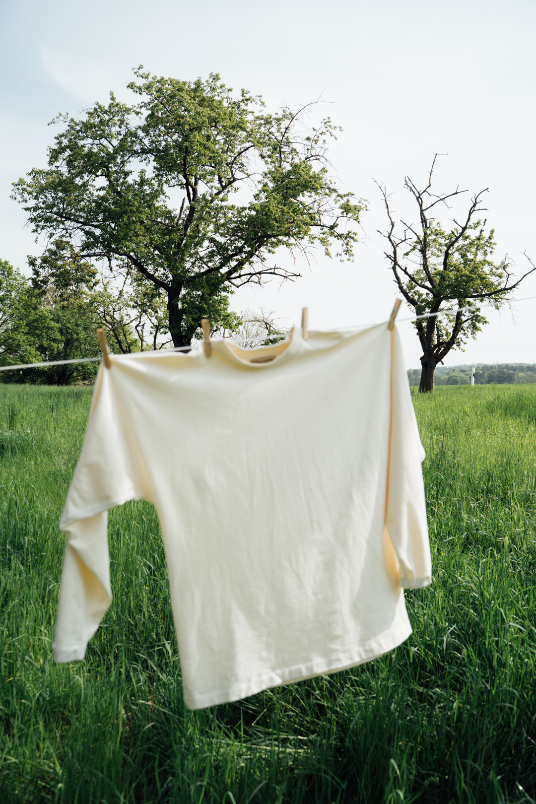 Sweater aus Bio-Baumwolle in Créme.